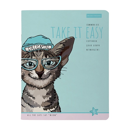 Тетрадь общая BrunoVisconti®
А5 (165 х 203 мм)
"EASY LIFE. КОТЫ" 48 л., клетка
Арт. 7-48-1293
обложка в ассортименте: фото #2