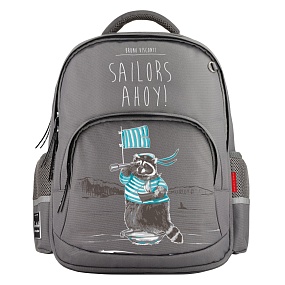 Рюкзак BrunoVisconti®
классический 
серый с эргономичной спинкой
«ЖИЗНЬ ЕНОТА»
Арт. 12-002-220/05