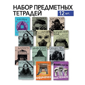 НАБОР ТЕМАТИЧЕСКИХ ТЕТРАДЕЙ "BOYS SERIES В" (12 предметов)
Арт. 7-48-1408-12