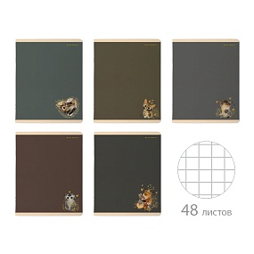 Тетрадь общая BrunoVisconti®
А5 (165 х 203 мм)
"LOVE ME.MORANDI" 48 л., клетка
Арт. 7-48-1368
обложка в ассортименте