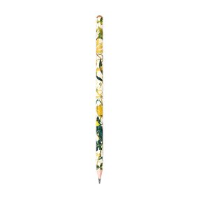 Карандаш BrunoVisconti®
чернографитовый, НВ, грифель 2 мм
Flora "SUMMER GREENS"
Арт. 21-0030/92
