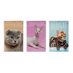 Блокнот Альт®
А6 (94 х 130 мм)
"КОТИКИ"  40 л.
Арт. 3-40-110
обложка в ассортименте