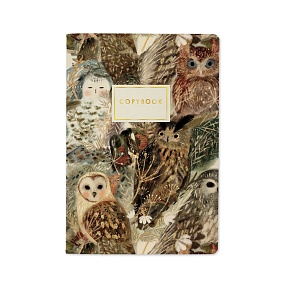 Тетрадь общая BrunoVisconti®
А5 (147 х 210 мм)
"ВОЛШЕБНЫЕ СОВЫ" 40 л., клетка
Арт. 7-40-001/147