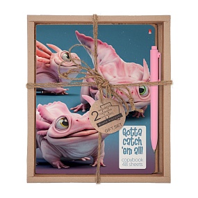 НАБОР ПОДАРОЧНЫЙ "ГЛАЗАСТИКИ. Глазастики розовые" (ДВЕ ТЕТРАДИ И РУЧКА)
Арт. 7-48-1284-2/1