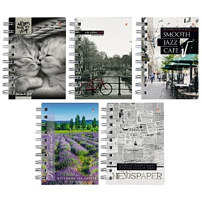 Блокнот Альт®
А6 (105 х 130 мм) цветная 160 листовл.
Арт. 3-160-010
обложка в ассортименте