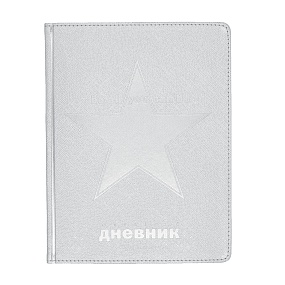 Дневник школьный BrunoVisconti®
А5 (168 х 218 мм)
"COSMO" серебряный 48 л.
Арт. 10-303/07