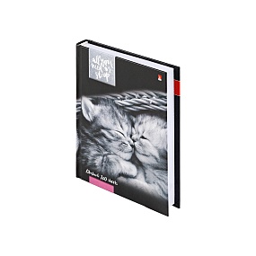 Блокнот Альт®
А6 (110 х 145 мм)
"КОТЯТА "МУРМУР"" мультиколор 160л.
Арт. 3-160-002/41