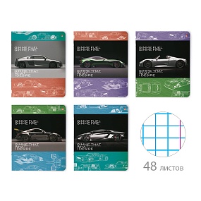 Тетрадь общая Альт®
А5 (165 х 203 мм)
"ФОРСАЖ" 48 л., клетка
Арт. 7-48-1103
обложка в ассортименте