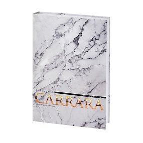 Блокнот Альт®
А4 (200 х 290 мм)
"CARRARA" мультиколор 160л.
Арт. 3-160-490/21