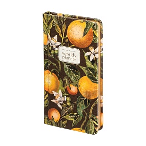 Еженедельник BrunoVisconti® недатированный
А6 (87 х 165 мм)
"FLORA.PARADISE.ORANGES" 64л.
Арт. 3-813/12