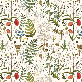 Упаковочная бумага BrunoVisconti®
 (70 х 100 см)
"FLORA.ЛУГОВЫЕ ТРАВЫ"
Арт. 2-811/01