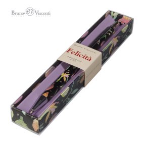 Ручка шариковая автоматическая BrunoVisconti®
0.7 мм, синий, в футляре
Felicita «БОТАНИКА»
Арт. 20-0263/17