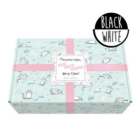 Канцелярский подарочный набор BrunoVisconti®
"MIMI BOX. BLACK&WHITE"
Арт. 2-849/06