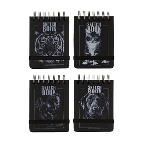 SKETCHBOOK BrunoVisconti®
100х130  мм, 120 л.
Черный 110 г, на гребне
Арт. 1-501/03
обложка в ассортименте