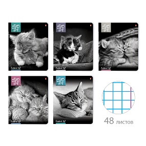 Тетрадь общая Альт®
А5 (165 х 203 мм)
"КОТЯТА МУР  МУР" 48 л., клетка
Арт. 7-48-611
обложка в ассортименте