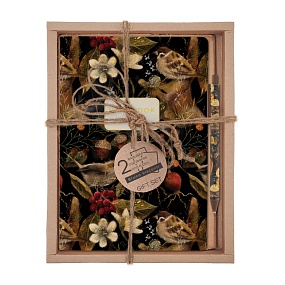 НАБОР ПОДАРОЧНЫЙ "FAUNA.Воробей" (ДВЕ ТЕТРАДИ BV И РУЧКА)
Арт. 7-40-001/208-3