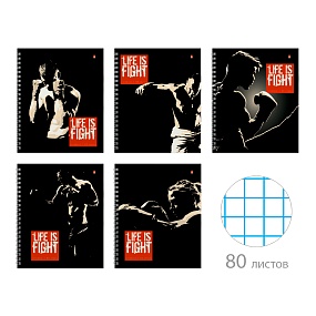 Тетрадь общая Альт®
А5 (170 х 200 мм)
"БОЙЦОВСКИЙ КЛУБ" 80л., клетка
Арт. 7-80-1301
обложка в ассортименте