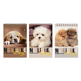 Блокнот Альт®
А6 (94 х 132 мм)
"СЛАДКИЕ ЩЕНЯТА"  40 л.
Арт. 3-40-297
обложка в ассортименте