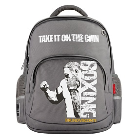 Рюкзак BrunoVisconti®
классический 
серый с эргономичной спинкой
«БОКС»
Арт. 12-002-149/05