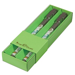 Набор BrunoVisconti®
из 2-х шариковых ручек
"MAGICWRITE"0.5 мм, синий, в картонном салатовом  футляре "Монстрики Happy"
Арт. 20-0240/4141