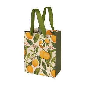 Пакет бумажный упаковочный подарочный BrunoVisconti®
 (180 х 230 х 100 мм)
"FLORA.PARADISE.LEMONS"
Арт. 2-851/09