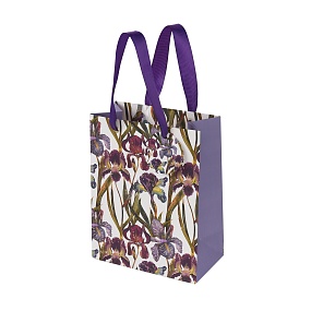 Пакет бумажный упаковочный подарочный BrunoVisconti®
 (180 х 230 х 100 мм)
"FLORA.ИРИСЫ"
Арт. 2-851/10