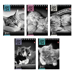 Блокнот Альт®
А6 (94 х 132 мм)
"КОТЯТА"  40 л.
Арт. 3-40-028
обложка в ассортименте