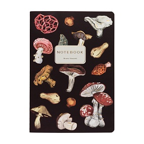Тетрадь общая BrunoVisconti®
А5 (147 х 210 мм)
"ГРИБНАЯ ФЕЕРИЯ.BROWN" 40 л., клетка
Арт. 7-40-001/199