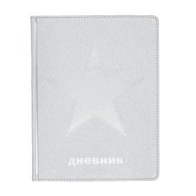 Дневник школьный BrunoVisconti®
А5 (168 х 218 мм)
"COSMO" серебряный 48 л.
Арт. 10-303/07