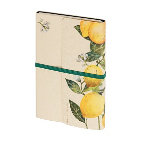 Ежедневник BrunoVisconti® недатированный
А5 (123 х 180 мм)
"FLORA.ЛИМОНЫ" мультиколор 192 стр.
Арт. 3-818/04