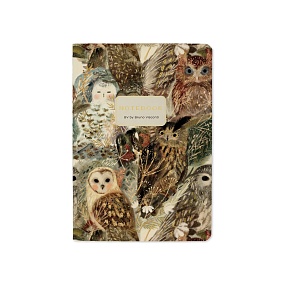 Тетрадь общая BrunoVisconti®
А6 (105 х 148 мм)
"FAUNA.ВОЛШЕБНЫЕ СОВЫ" 32 л., линейка
Арт. 7-32-506/15