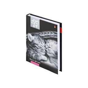 Блокнот Альт®
А6 (110 х 145 мм)
"КОТЯТА "МУРМУР"" мультиколор 160л.
Арт. 3-160-002/41