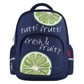 Рюкзак BrunoVisconti®
классический 
синий с эргономичной спинкой
« FRESH & FRUITY.ЛАЙМ»
Арт. 12-002-216/02