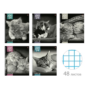 Тетрадь общая Альт®
А5 (165 х 200 мм)
"КОТЯТА МУР  МУР" 48 л., клетка
Арт. 7-48-1220
обложка в ассортименте