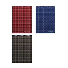 Блокнот Альт®
А4 (198 х 290 мм)
"ULTIMATE BASICS. ШОТЛАНДКА"  60 л.
Арт. 3-60-474
обложка в ассортименте