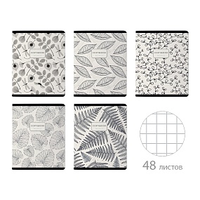 Тетрадь общая BrunoVisconti®
А5 (165 х 203 мм)
"BLACK AND WHITE.FLORA" 48 л., клетка
Арт. 7-48-1369
обложка в ассортименте