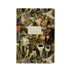 Тетрадь общая BrunoVisconti®
А5 (147 х 210 мм)
"ЭЛЬФИЙСКИЙ ЛЕС" 40 л., клетка
Арт. 7-40-001/176