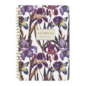 Тетрадь общая BrunoVisconti®
А5 (140 х 210 мм)
"FLORA.ИРИСЫ" 60 л., клетка
Арт. 7-60-201/28