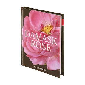 Ежедневник Альт® недатированный
А6 (110 х 145 мм.)
"ЦВЕТЫ. ФЕЕРИЯ NEW" 256 стр.
Арт. 3-020/44