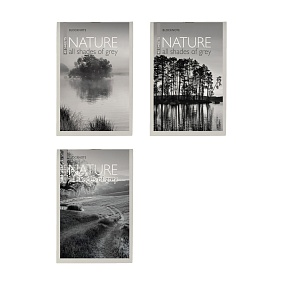 Блокнот Альт®
А6 (94 х 130 мм)
"ПРИРОДА"  40 л.
Арт. 3-40-112
обложка в ассортименте