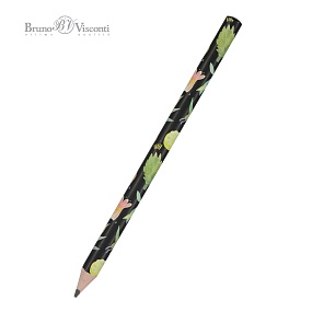 Карандаш BrunoVisconti®
чернографитовый, 4B
HappyGraphix Jumbo "БОТАНИКА"
Арт. 21-0062/32