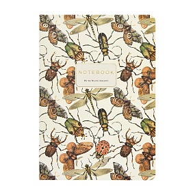 Тетрадь общая BrunoVisconti®
А5 (147 х 210 мм)
"FAUNA.LITTLE WINGS" 40 л., линейка
Арт. 7-40-505/74