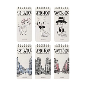 SKETCHBOOK BrunoVisconti®
105х220  мм, 80 л.
Белая 160 г, на гребне
Арт. 1-553/04
обложка в ассортименте