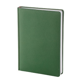 Ежедневник BrunoVisconti® датированный 2025 год
А5 (146 х 206 мм)
"LEADER" зеленый 336 стр.
Арт. 3-126/02.
