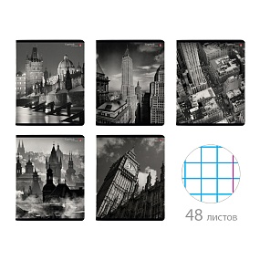 Тетрадь общая Альт®
А5 (165 х 203 мм)
"ГОРОДА" 48 л., клетка
Арт. 7-48-1275
обложка в ассортименте