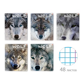 Тетрадь общая Альт®
А5 (165 х 203 мм)
"ЗАГАДОЧНЫЕ ВОЛКИ NEW" 48 л., клетка
Арт. 7-48-596
обложка в ассортименте