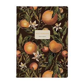 Тетрадь общая BrunoVisconti®
B5 (179x250 мм)
"FLORA.PARADISE.ORANGES" 60 л., клетка
Арт. 7-60-001/36