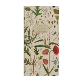 Еженедельник BrunoVisconti® датированный 2026 год
А6 (87 х 165 мм)
"FLORA.ЛУГОВЫЕ ТРАВЫ" 64л.
Арт. 3-809/01