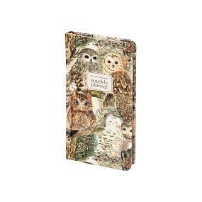 Еженедельник BrunoVisconti® недатированный
А6 (87 х 165 мм)
"FAUNA.ВОЛШЕБНЫЕ СОВЫ" 64л.
Арт. 3-813/10