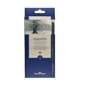 Набор карандашей BrunoVisconti
GraphixPro, чернографитовые, 12 шт. 
2H_H_HB_B_2B_3B_4B_5B_6B_7В_8В_9В
 Арт. 21-0039